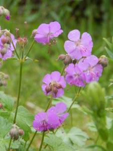 DSCN1881.JPG