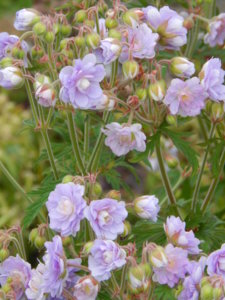 DSCN1892.JPG