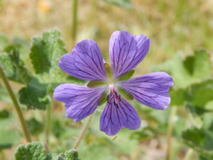 DSCN6097.JPG