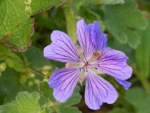 DSCN6278.JPG