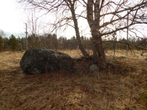 DSCN5503.JPG