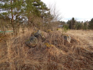 DSCN5504.JPG