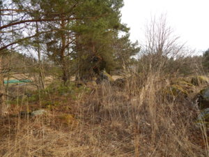 DSCN5505.JPG