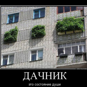 дачник.jpg