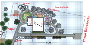 сирень.jpg