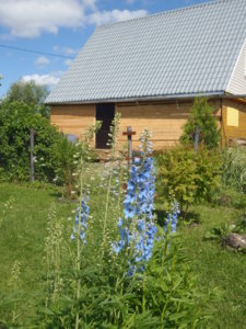 P7010200.JPG