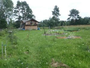 P7280203.JPG