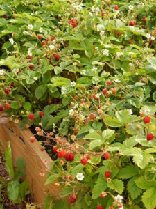 DSCN2468.JPG