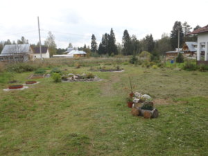 P9170333.JPG
