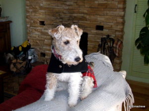 DSCF6124.JPG