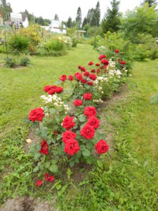 DSCN3922.JPG