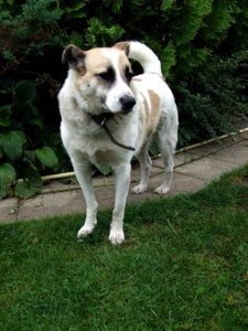 DSCF6296.JPG
