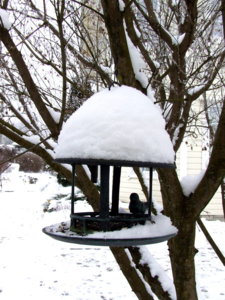 DSCF5036.JPG