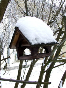 DSCF5038.JPG