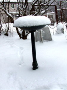 DSCF5057.JPG