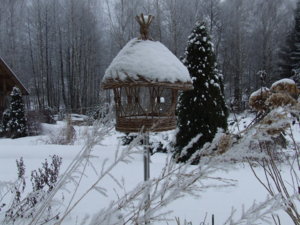 DSCF5029.JPG