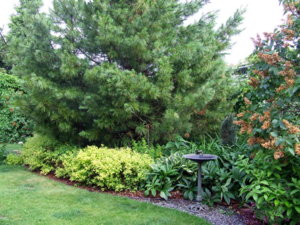 DSCF5737.JPG