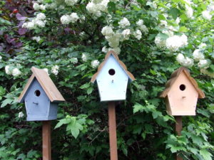 DSCF5748.JPG