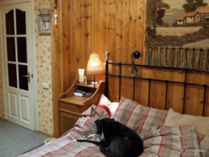 DSCF4967.JPG