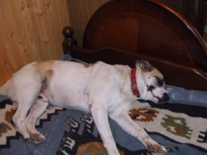 DSCF3052.JPG