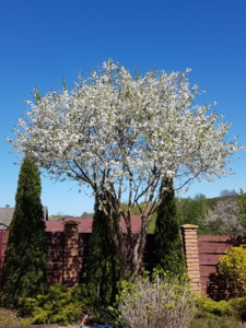 20180506_111032.jpg