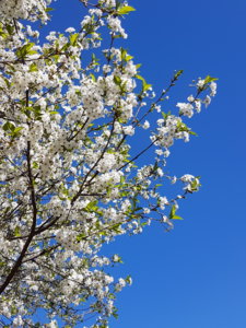 20180506_111258.jpg