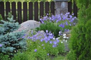 DSC_0016.JPG