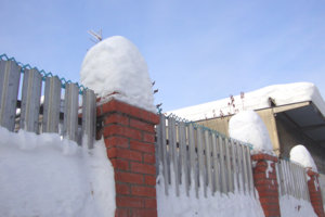 забор.jpg