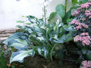 DSCF4498.JPG