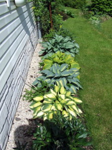 DSCF2193.JPG