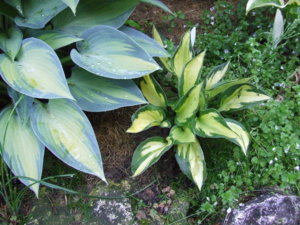DSCF2169.JPG