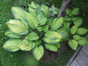 DSCF2573.JPG