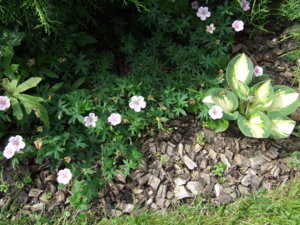 DSCF2610.JPG