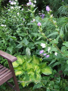 DSCF2672.JPG