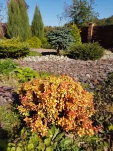 20170929_113012.jpg