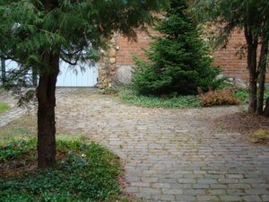 DSC06310.JPG