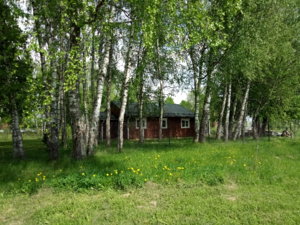 IMG_20180514_142745.jpg