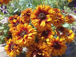 IMG-20180806-WA0044.jpeg