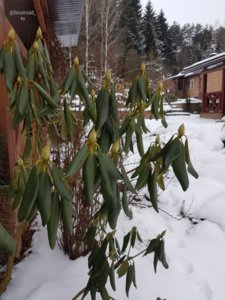 20190108_183008.jpg