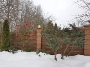 20190209_104938.jpg