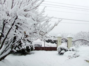 DSCF6419.JPG