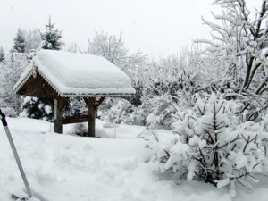 DSCF6421.JPG