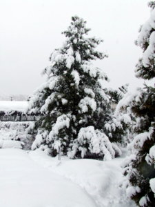 DSCF6427.JPG