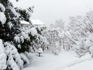 DSCF6428.JPG