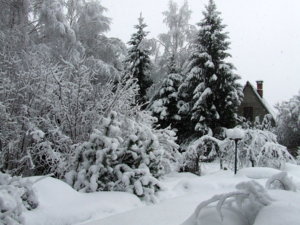 DSCF6437.JPG