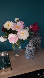 IMG-20170701-WA0015.jpeg
