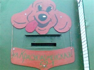 216efabd0f9a.jpg