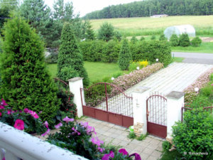 DSCF4222.JPG