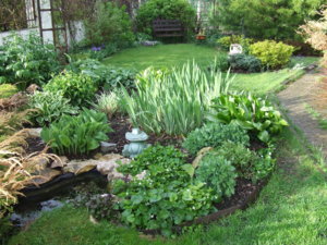 DSCF3649.JPG