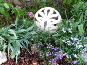 DSCF5532.JPG